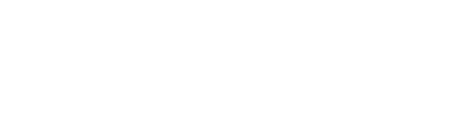 ZWCAD LOGO